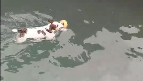 இந்த வீடியோ உங்கள் வாழ்க்கையை உணர்த்தும் 100%