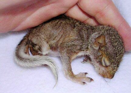 பிரார்த்தனை என்ற பெரும் செல்வம்!