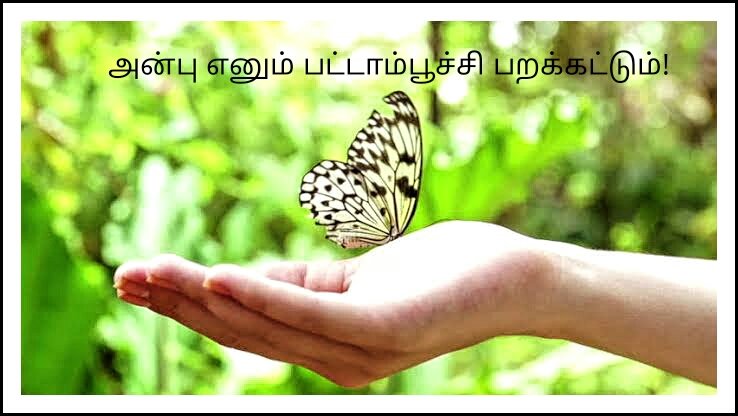 அன்பு எனும் பட்டாம்பூச்சி பறக்கட்டும்!