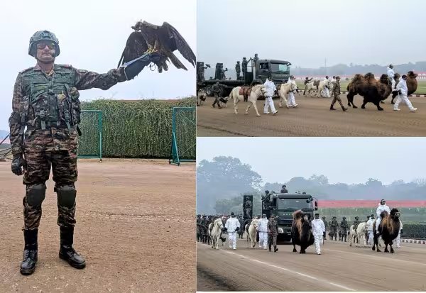 குடியரசு தின விழாவில் முதன்முறையாக ராணுவ விலங்குகள் அணிவகுப்பு | தமிழ்நாடு அலங்கார ஊர்திக்கும் அனுமதி
